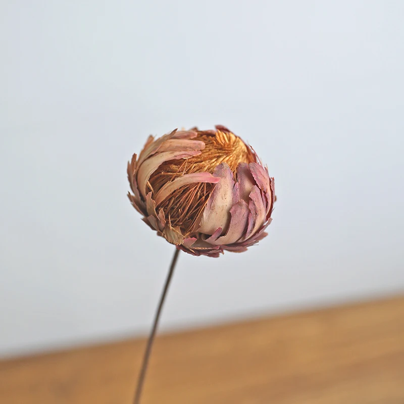

African Phoenix Ball Dried Flowers for Decoration Birthday Party Table Home Decor and Accessor Florist Supplies Room Ornaments