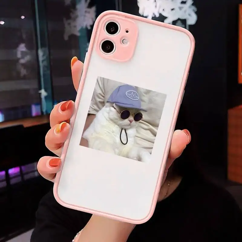 

Cute Cat Phone Cases Matte For iPhone 12 Mini 11 Pro XR XS Max 7 8 Plus X Hard PC Back Cover