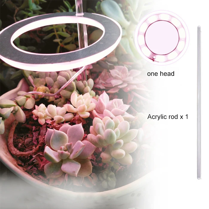 

LED Grow Light Full Spectrum Phyto Grow Lamp USB Phytolamp For Plants 5V Lamp For Plants Growth Lighting For Indoor Plant