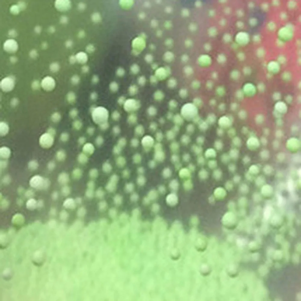 Креативный волшебный шар-игрушка | Дом и сад