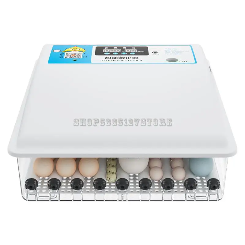 Инкубатор маленький бытовой мини-автоматический умный инкубатор для курицы утки