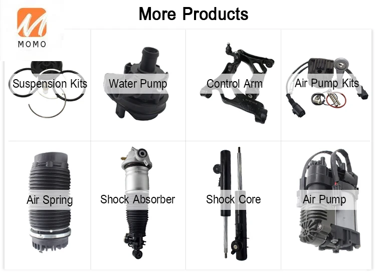 

Dang Fang before shock absorbers