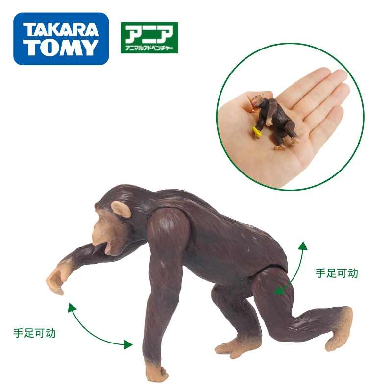 Модель диких животных TAKARA TOMY фигурка анимационного животного Лесной уход Chimpanzee