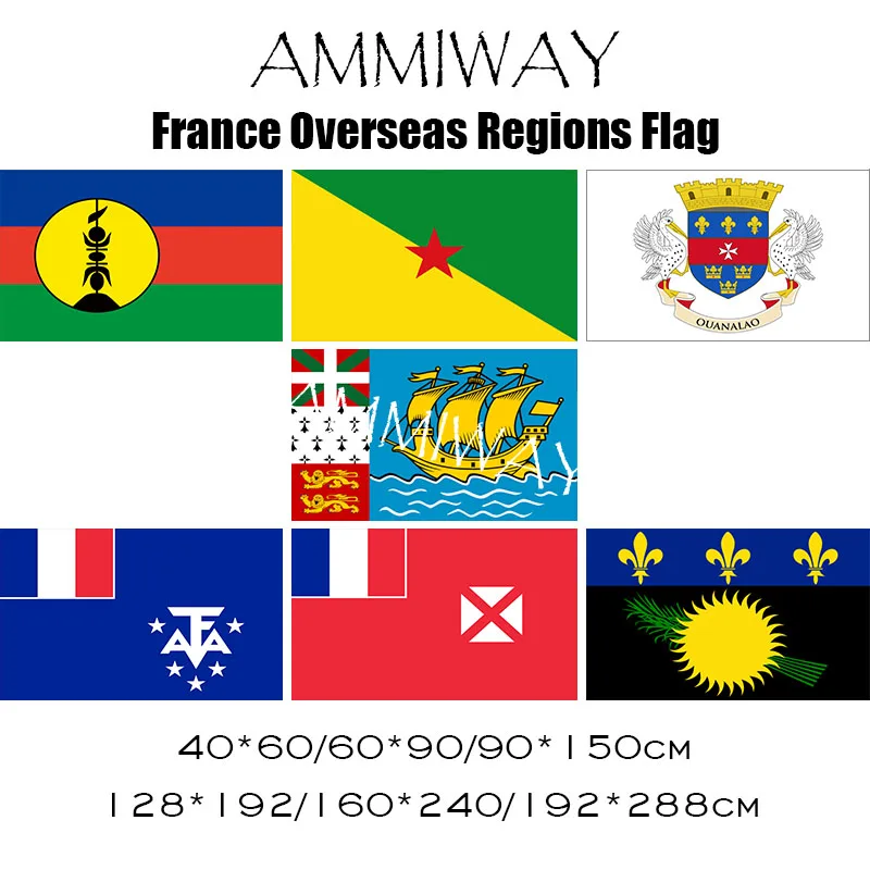 Флаг французской Гвианы AMMIWAY Национальный полиэстер висящий флаг французский