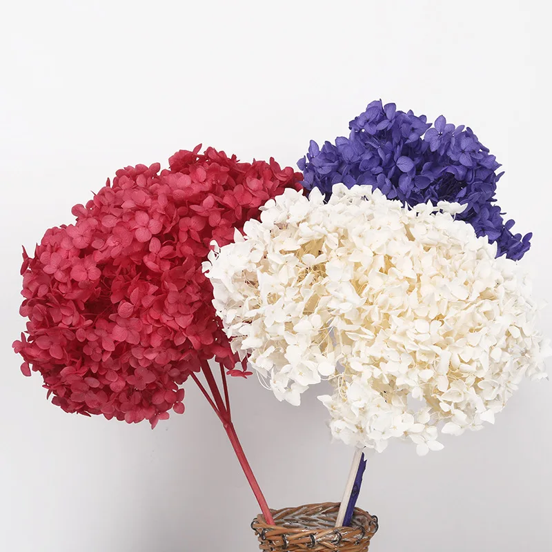 

Luxury Eternal Hydrangea Branch Real Dried Natural Flowers Home Party Wedding Decoration Table Fleur Artificielle Dry Flowers