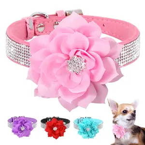 Collier Chien Lv - Colliers, Harnais Et Laisses - AliExpress