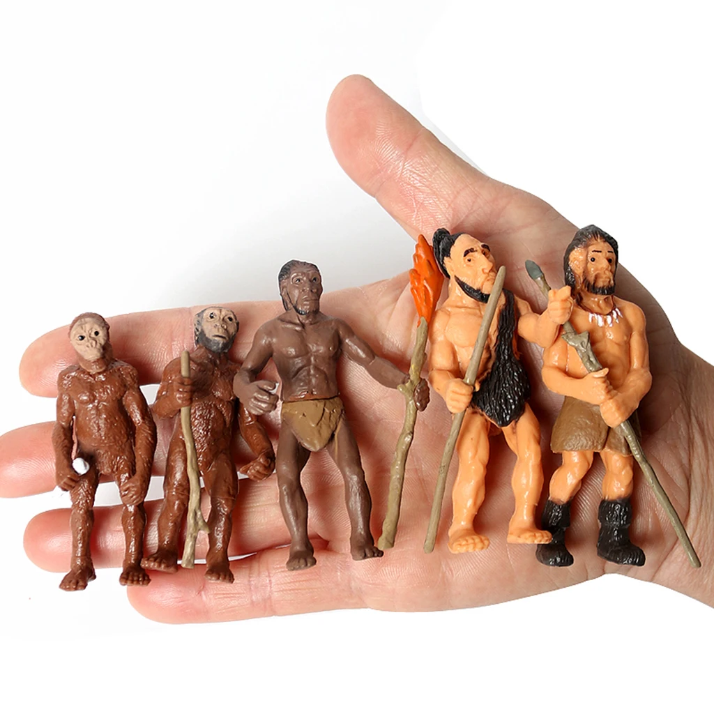 

PVC Human Origin Action Figure Toy Collection Teaching Aids Home Office