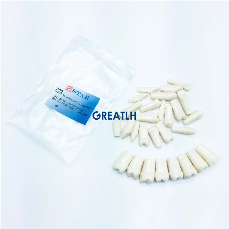 28pcs/32pcs Dental Practise Teeth Dentist Artificial for Implant Mandible | Красота и здоровье