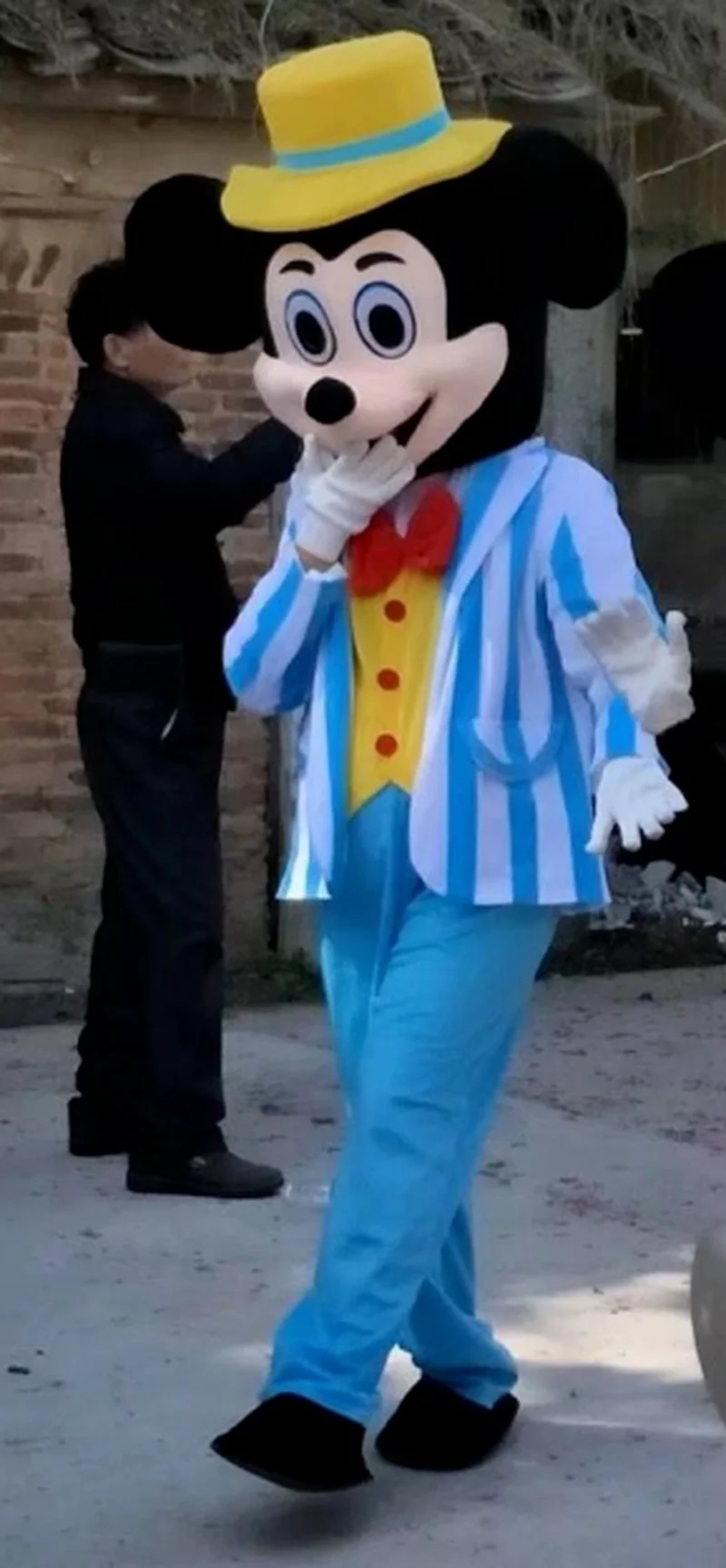 Костюм-талисман Минни Маус из мультфильма Дональд Дак