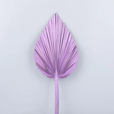 Сушеные натуральные цветы Palmblad Gedroog, Пальмовые Листья, сухие пальмовые вееры, свадебное украшение для вечеринки, настенная подвеска, украшение для Рождества