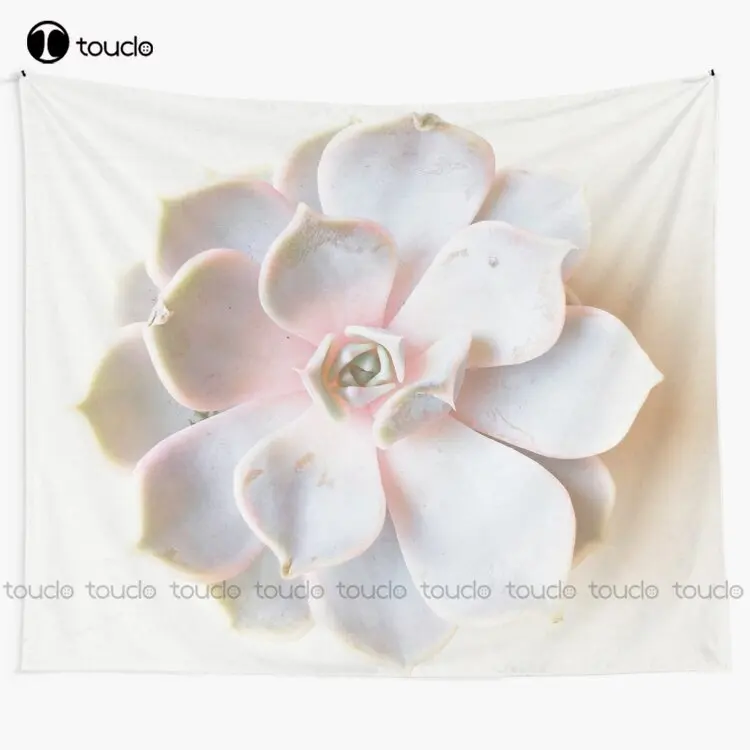 

Pink Succulent Ii Plants Leaves Pale Pink Pale Grey Tapestry Tapestry Website Blanket Tapestry Bedroom Bedspread Decoration