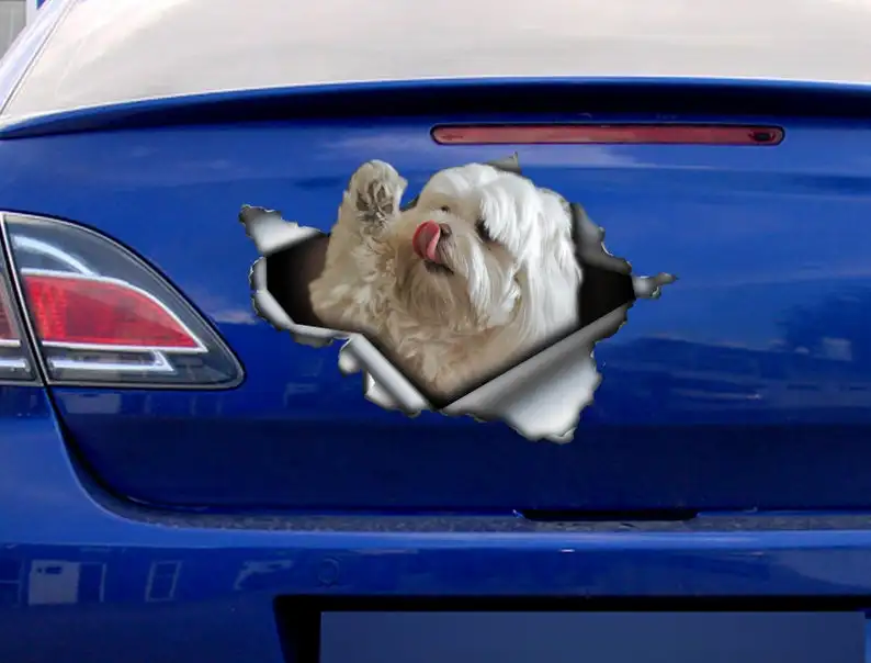 

2021 Maltese car decal, Maltese magnet, maltese car sticker, pet decal