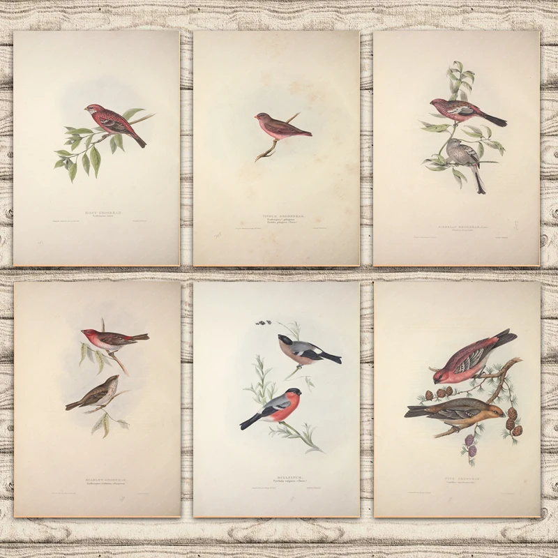 Европейские птицы сибирская сосна Groseak Rosy Vinous Bullfinch холст живопись ВИНТАЖНЫЙ