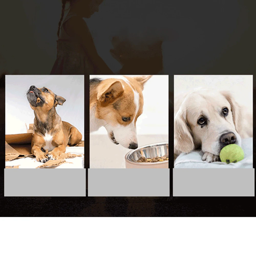 

Useful Pet Dog Feeding Bowls Plastic Portable Puppy Slow down Eating Food Prevent Obesity Healthy Diet Dog Accessories