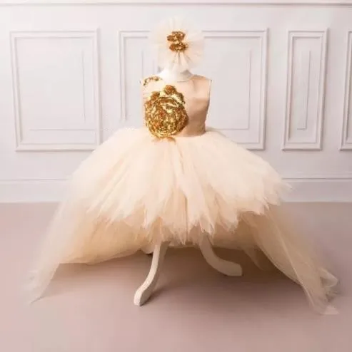 

Puffy Infant Baby Girls Dress O Neck Toddler Princess High Low Style Birthday Dresses Photoshoot