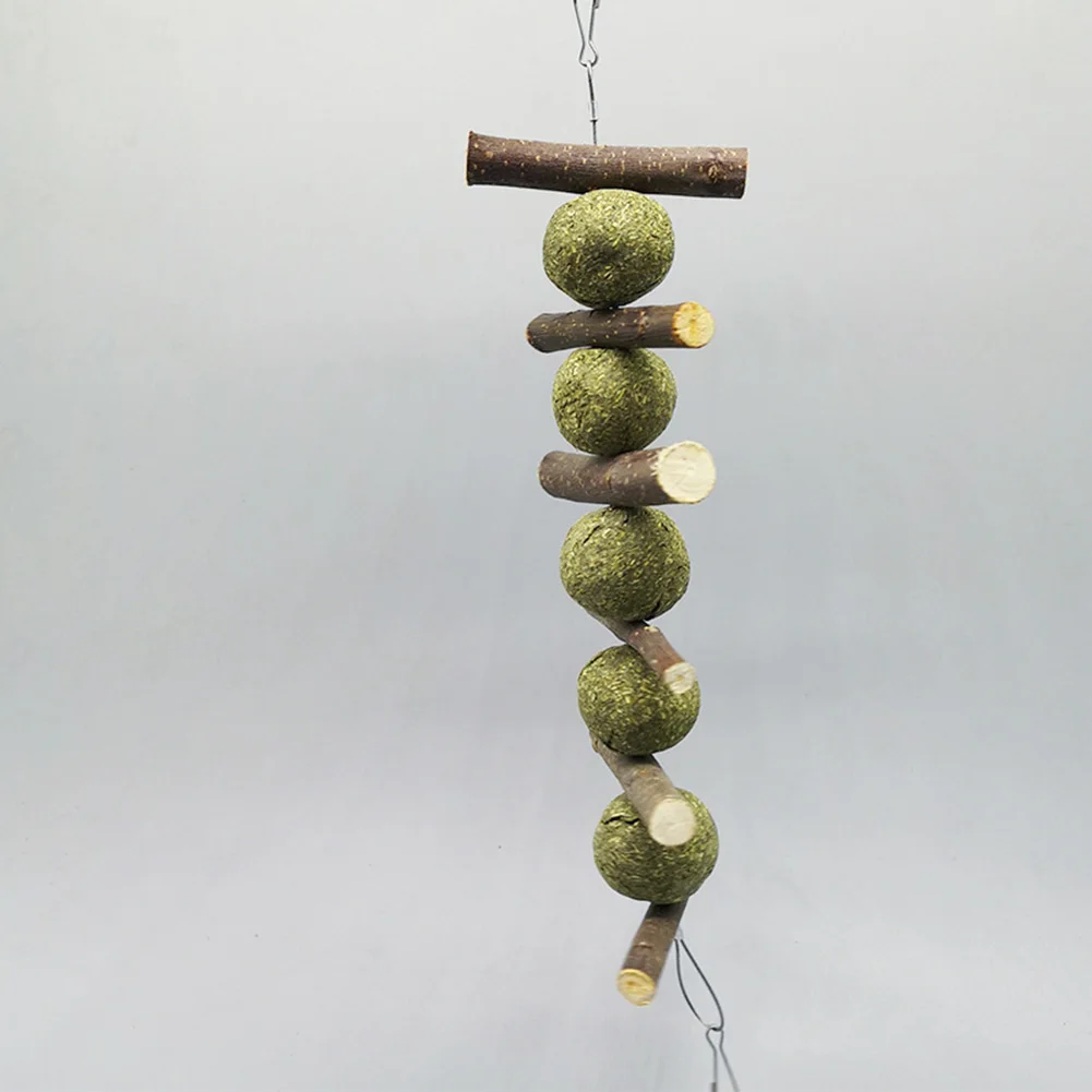 Кролик кролик чистка зубов жевание Зубное здоровье Яблочная форма трава сено мяч