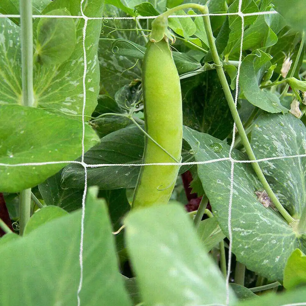 

2pcs Woven Mesh Climbing Net Plant Home Gardening Net Planting Net Hydroponics Garden Net Accessories Multi Use Supplies