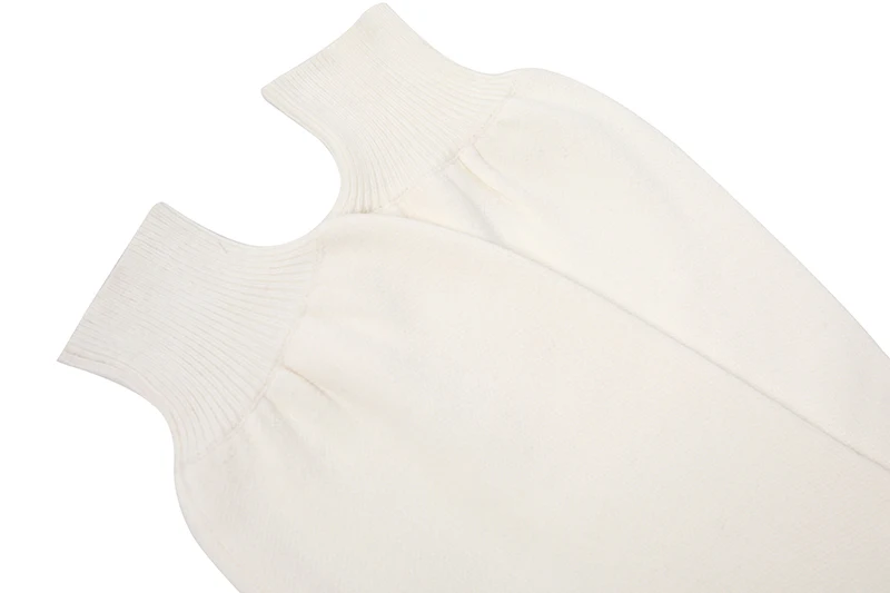 

Women Casual Pullover Sweaters Long Lantern Sleeve Turtle Neck Female Knitwear Tops Women Autumn Winter Clothes Sweater