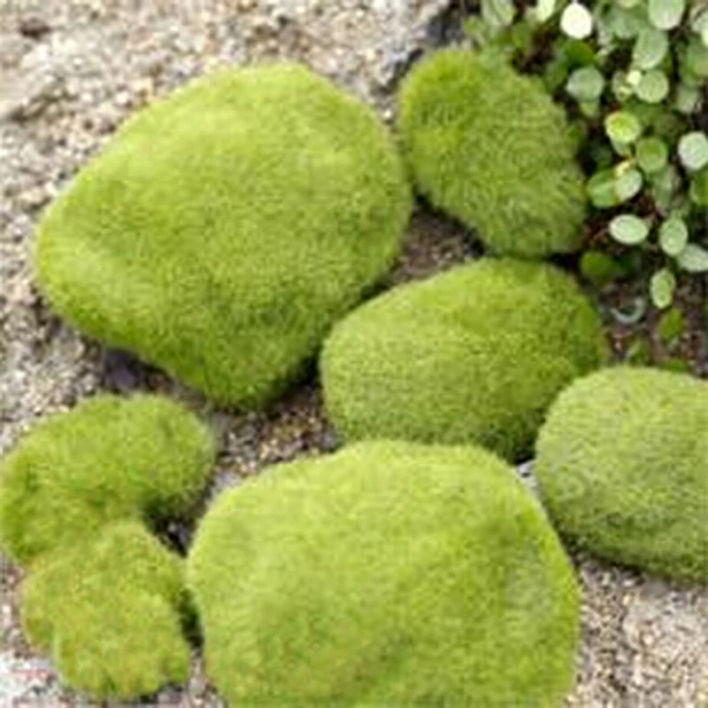 8 шт./упак. Зеленые искусственные камни покрытые мхом трава мохообразные домашний