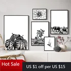 Зебра, слон, птица, цветок, Африка, черные, белые животные, принты на холсте, живопись, настенные художественные картины для плакатов, эстетическое украшение комнаты