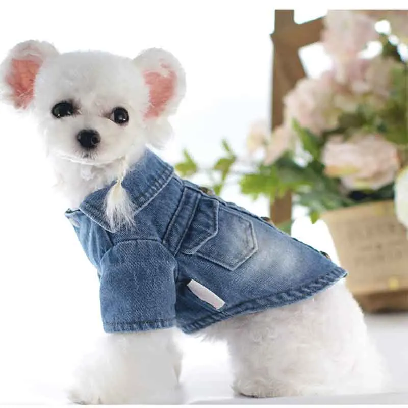 

Джинсовая куртка для мальчиков и девочек, зимняя одежда для собак и кошек, ковбойские куртки чихуахуа, шнауцер, Бишон, йоркширский терьер, од...