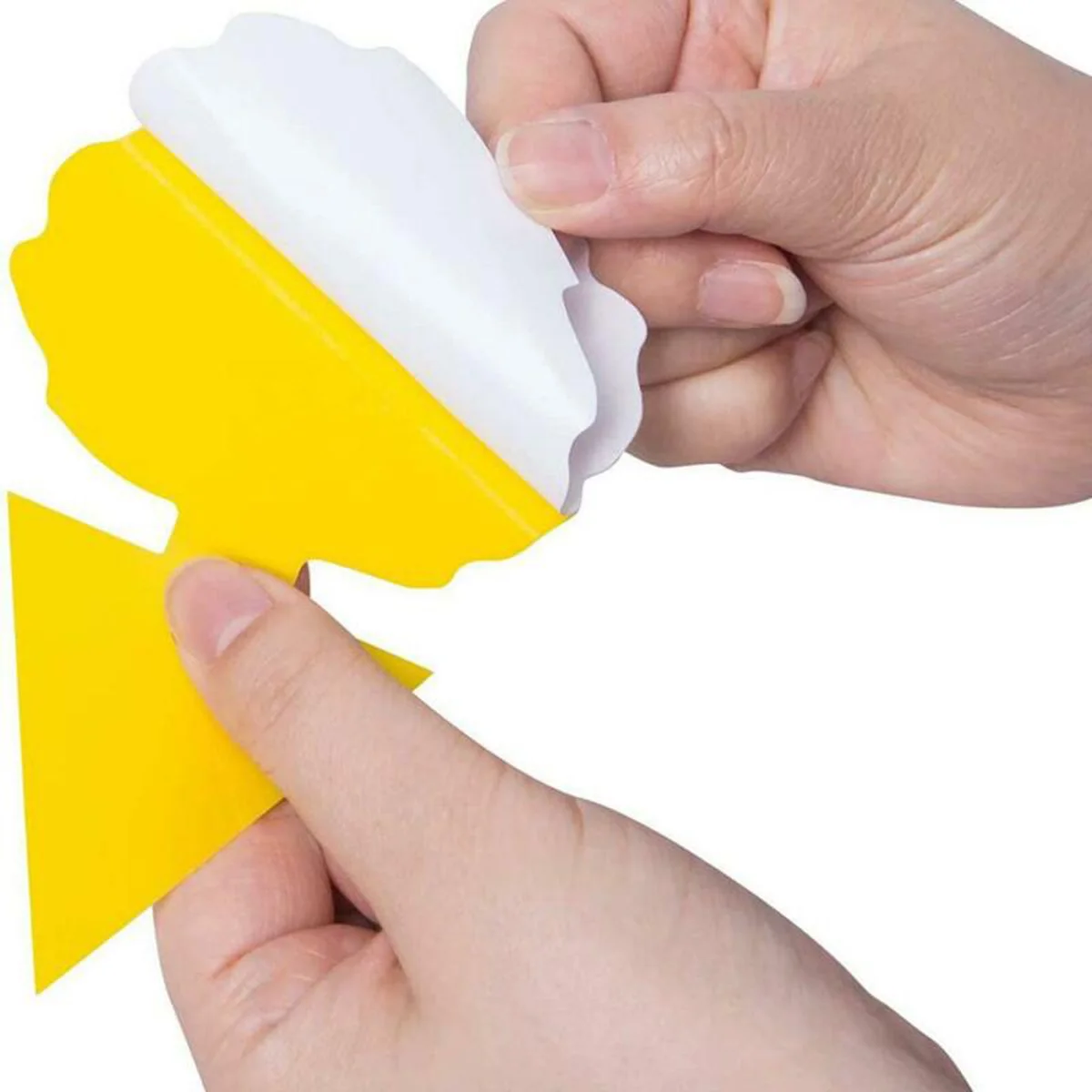 

Sticky Insect Board Fruit Fly Sticky Bug For Indoor & Outdoor Practical