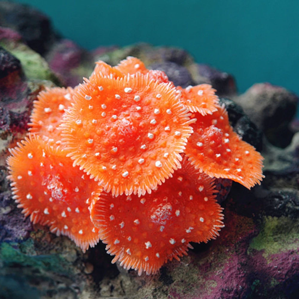 Новые искусственные смолы кораллового моря растение орнамент силиконовый