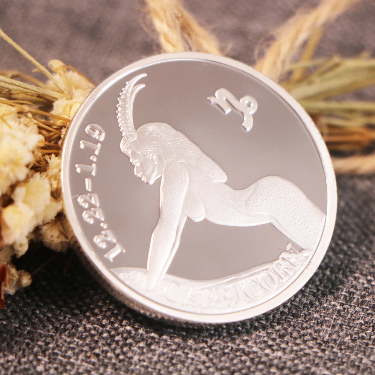 Twelve Constellation Capricorn Zodiac Elizabeth II Silver Commemorative Coins Euro Astrology Souvenir Gifts | Дом и сад