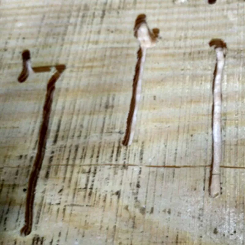 5 шт. хвостовик 4 мм две флейты прямые фрезы для деревообрабатывающего