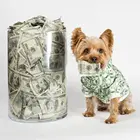 Толстовки с напечатанным изображением французского бульдога, одежда для маленьких собак, одежда для йоркширского терьера, чихуахуа, PC1464, костюм для Мопса