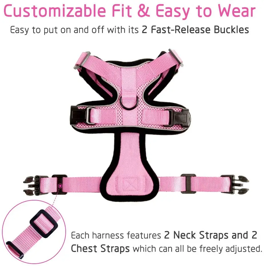 Шлейка и поводок для кошек набор прогулок маленькой собаки со светоотражающими