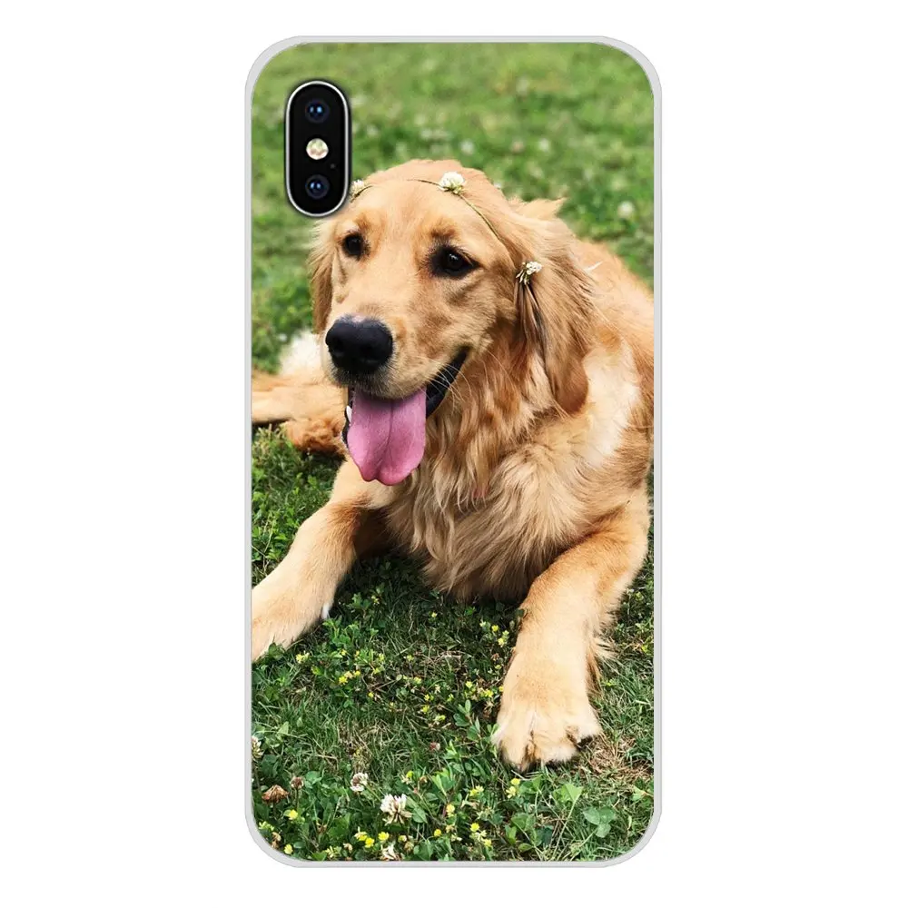 Аксессуары оболочка Чехлы животные милая собака золотой ретривер для Samsung A10 A30 A40