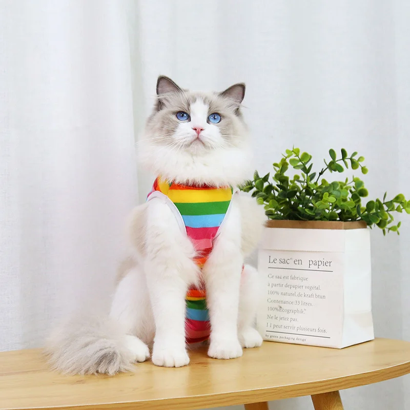 

The cat sterilization served fruit series four seasons pet clothing supplies after the operation