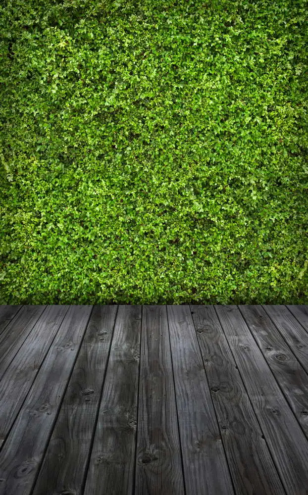 Виниловый фон для фотостудии 5x7 футов с изображением темно-зеленых листьев