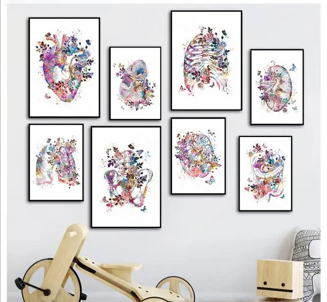 Полный квадратный круглый 5d алмазная вышивка анатомические органы Анатомия