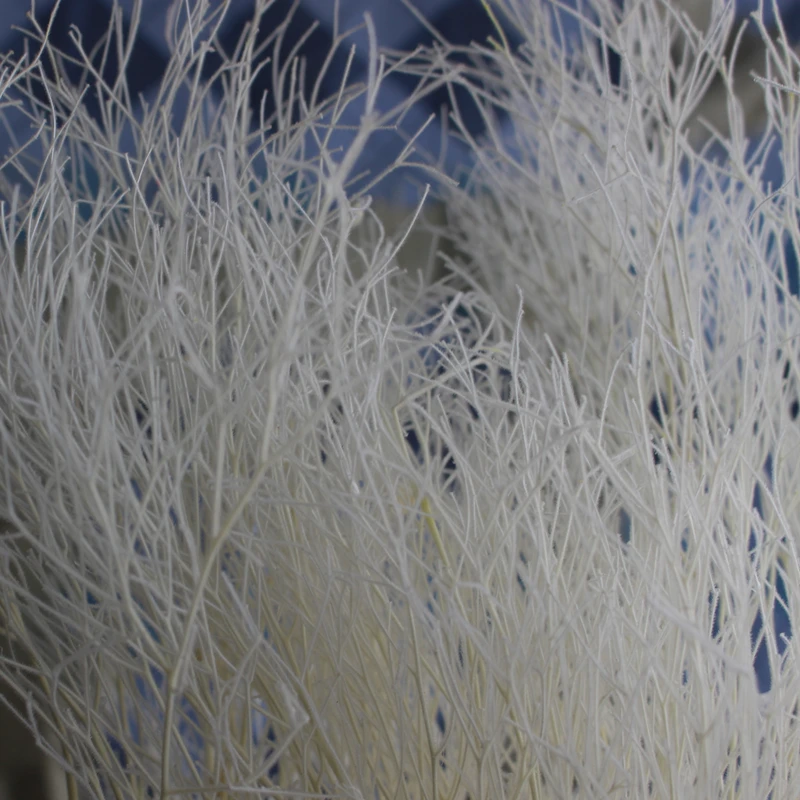 

Dekoration Decorative Preserved Flowers Fantasy Grass Real Natural Dried Eternal Everlasting Flower Rose Dreamy Longxu Grass