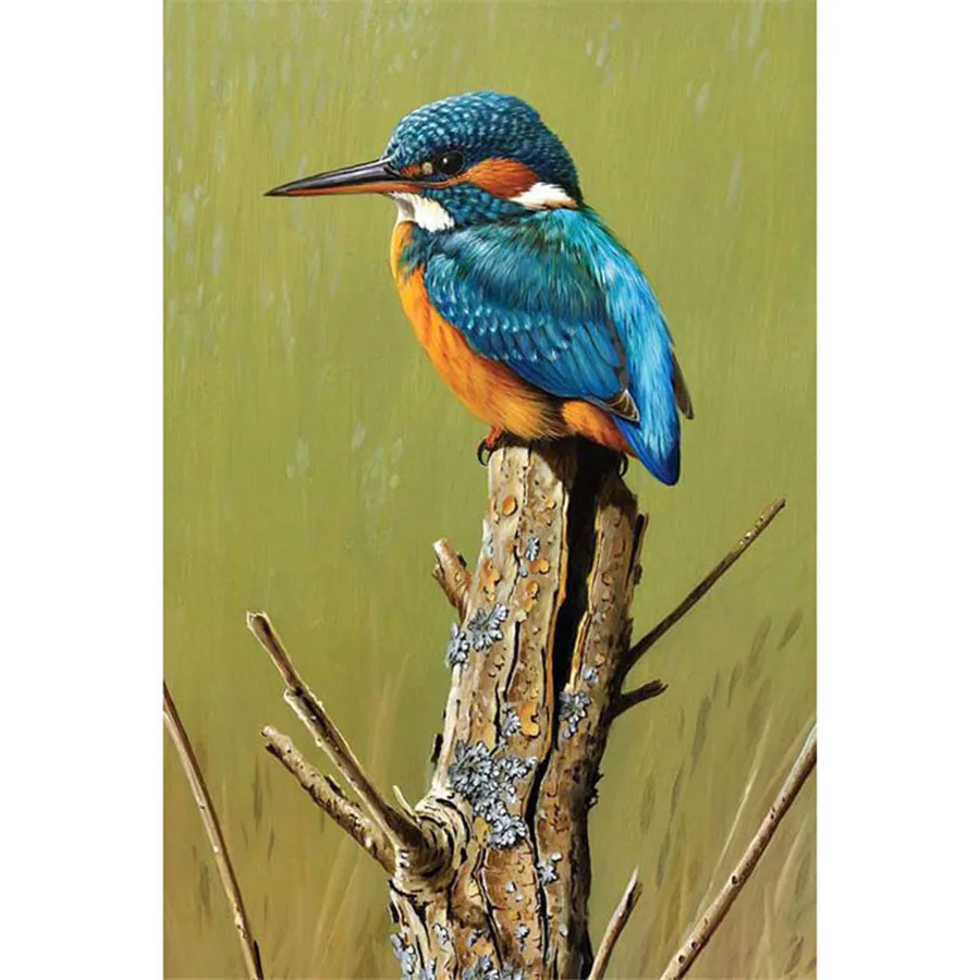 

5D DIY Diamond Painting "Lonely bird" Diamond Embroidery Full Lay Cross Stitch Diamond Mosaic Home Accessories Gift