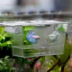 Акриловый аквариумный инкубатор, коробка для изоляции, коробка с присоской для разведения рыб подростков