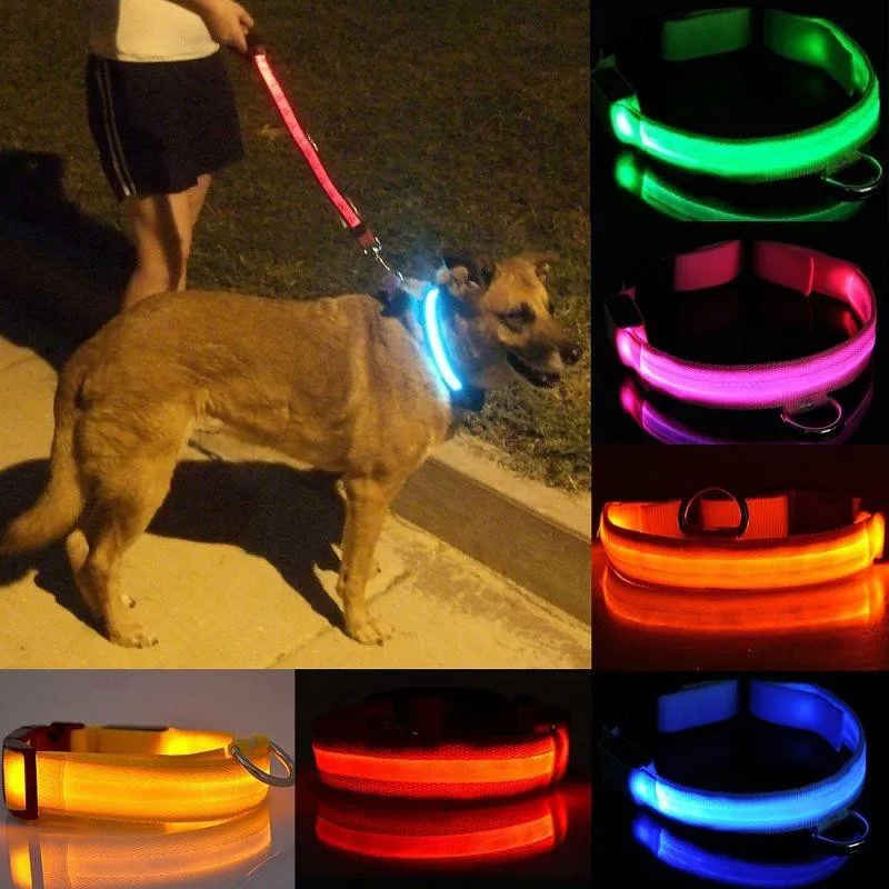 

Pet Supplies Pet Dog LED Collar Night Safety Flashing Glow In The Dark Dog Leash,Dogs Luminous Fluorescent Collars Nylon