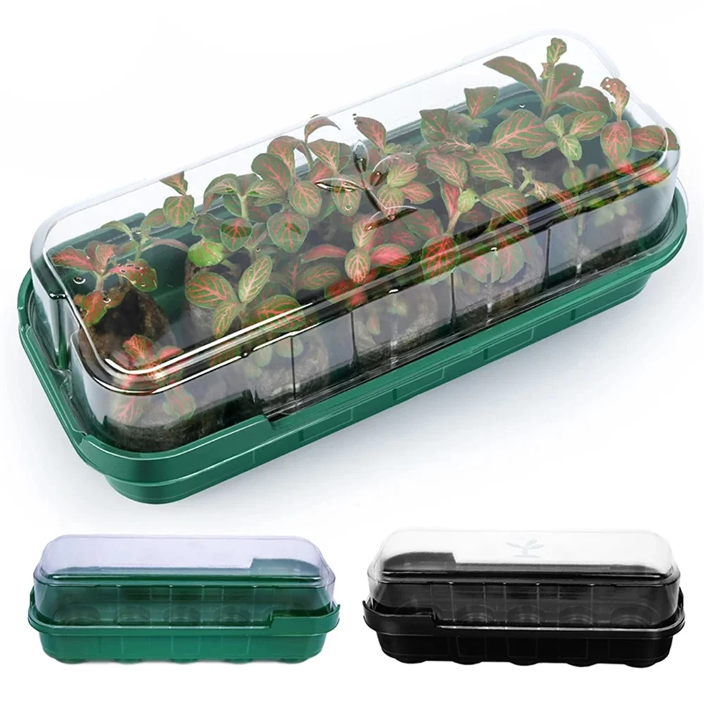 

10 Holes Plant Seeds Grow Box With Cover Reusable Seed Planting Greenhouse Box Seedling Nursery Pot Garden Accessories