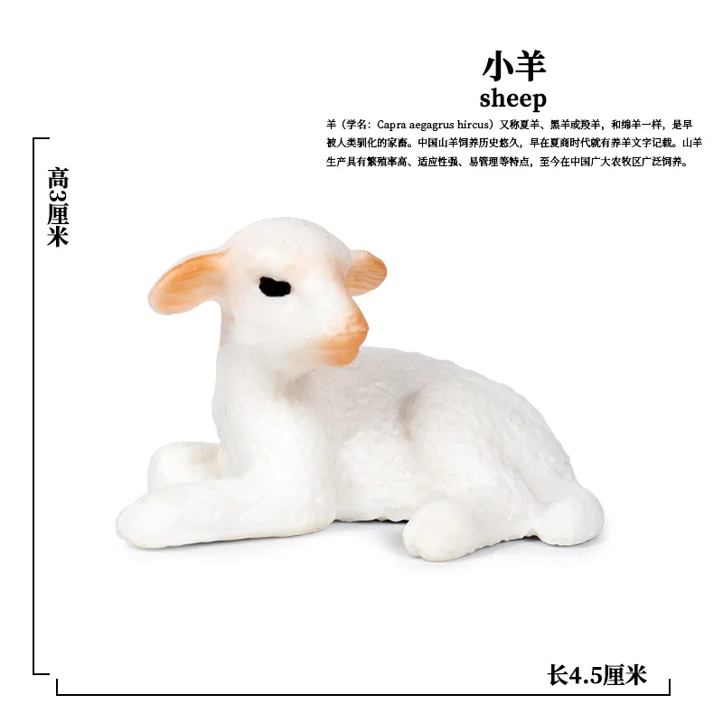 Моделирование диких животных модели украшения в виде Овцы образовательные