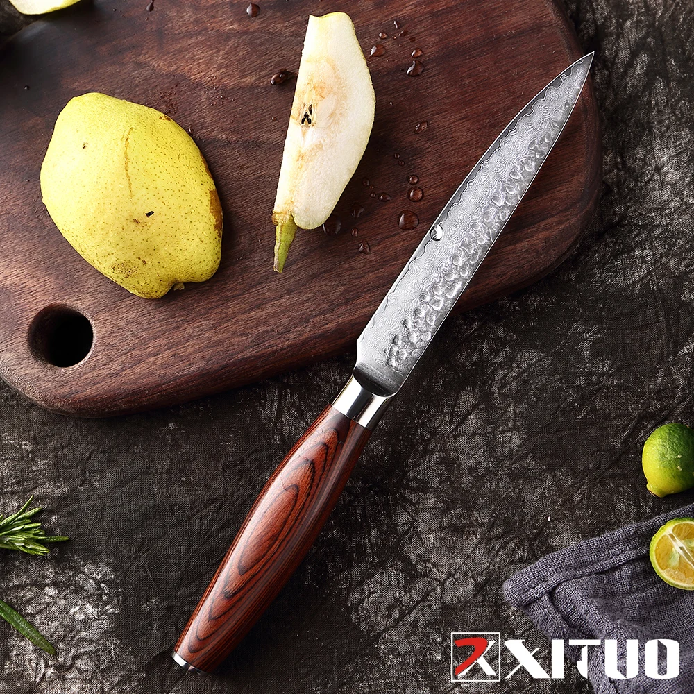 XITUO 2019 Новый дамасский кухонный нож для очистки овощей 5 дюймов кованые Ножи