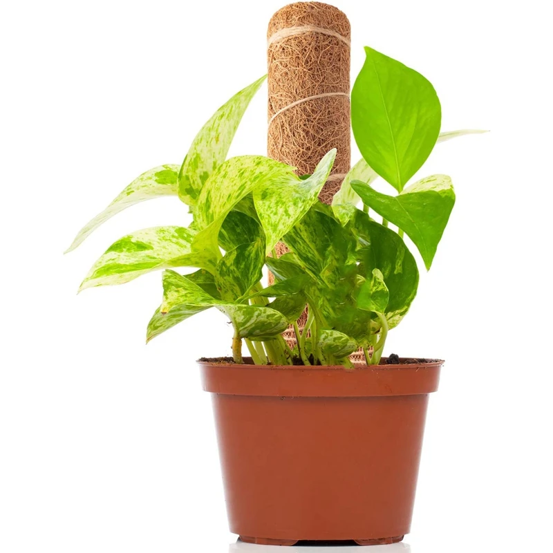 Coir Totem Pole Moss для Monstera Plant pers Ivy альпинизма в помещении на открытом воздухе растения