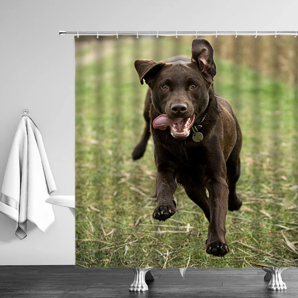 

Funny Animal Shower Curtains Decoration Cute Pet Cat Dog Home Bathroom Decor Polyester Bath Cloth Hanging Curtain Set With Hooks