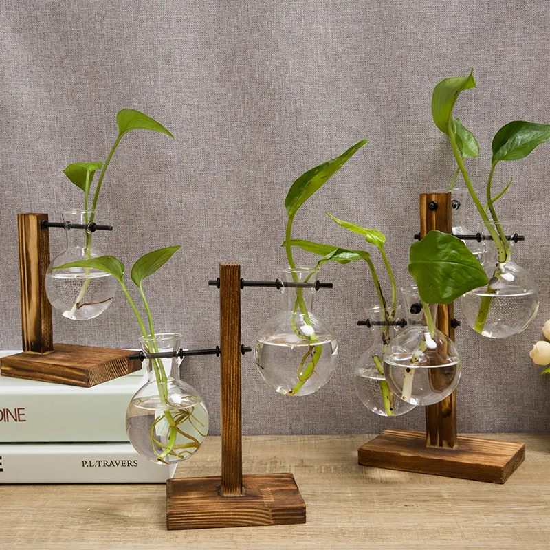 Гидропонная фотография Terrarium винтажный цветочный горшок прозрачная ваза