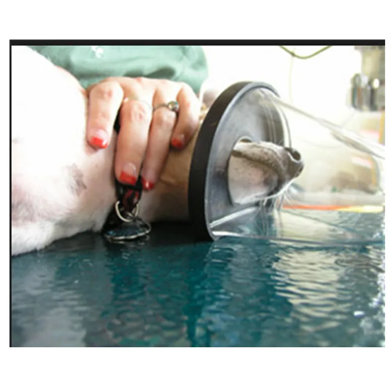 Wondcon ветеринарная маска для анестезии животных 6 размеров zero dead space быстрая