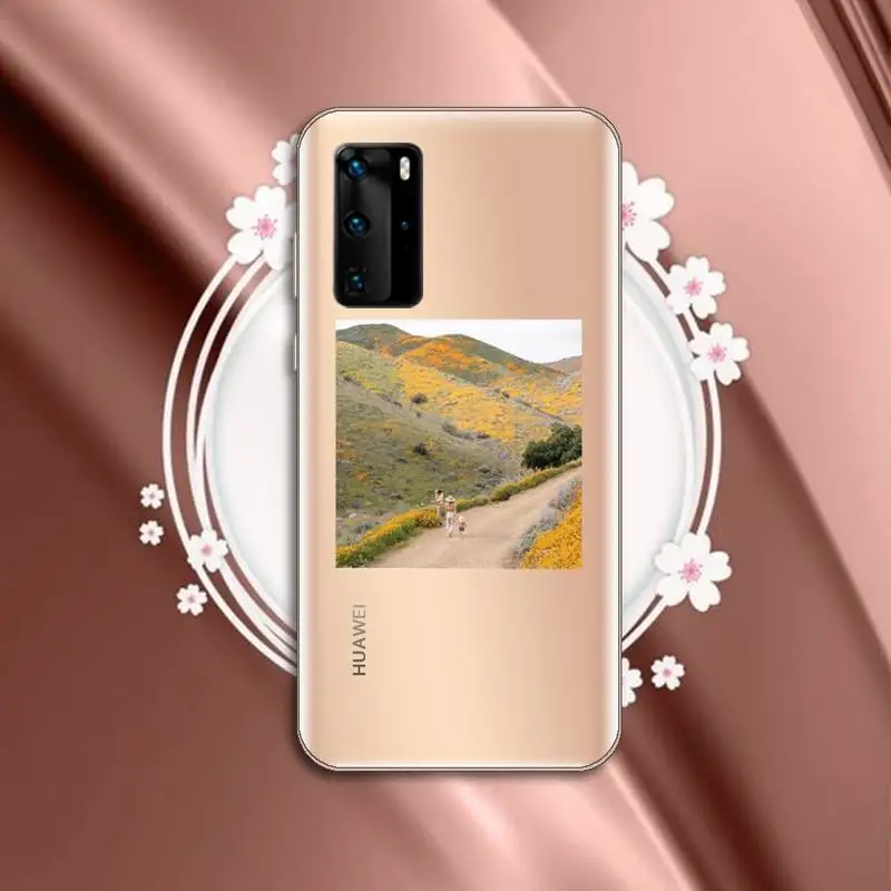 

Cottagecore Style pattern Phone Case Transparent for Huawei P honor 8 10i 20 30 40 smart 2019