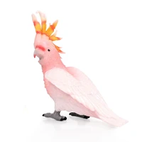 forest toucan cockatoo figure simulation animal model bird parrot figurine home decoration children gift collecitible toy