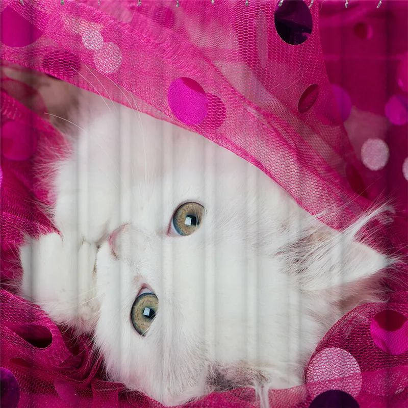 Цвет милый кот душ занавеска водонепроницаемая ткань для занавесок душа