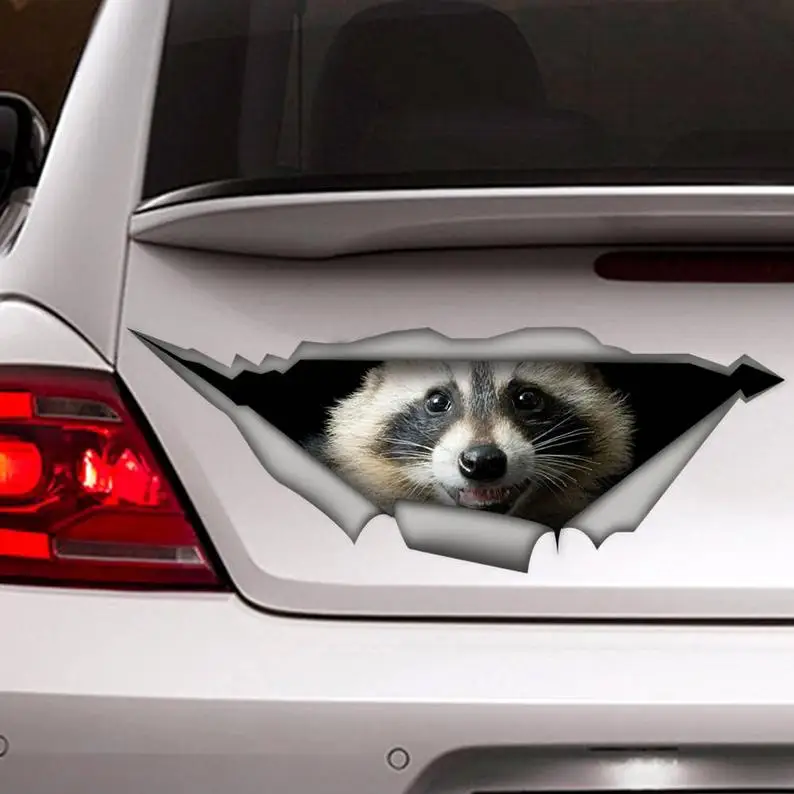 

2021 Raccoon car decal, animal decal, 3D sticker, Vinyl decal, funny sticker, raccon sticker